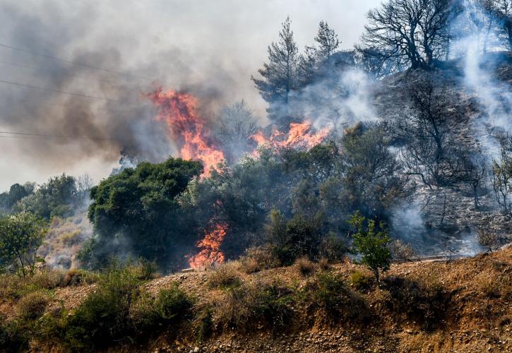Πυρκαγιές: Σε εξέλιξη οι φωτιές σε Αχαΐα και Χίο - Χωρίς ενεργό μέτωπο Φιλιππιάδα και Ζάκυνθος