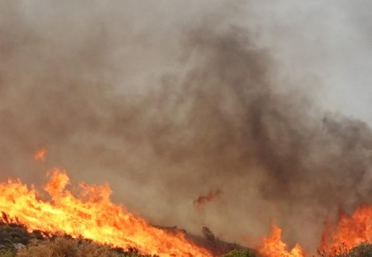 Ηλεία: Μεγάλη αναζωπύρωση στην περιοχή Χελιδόνι