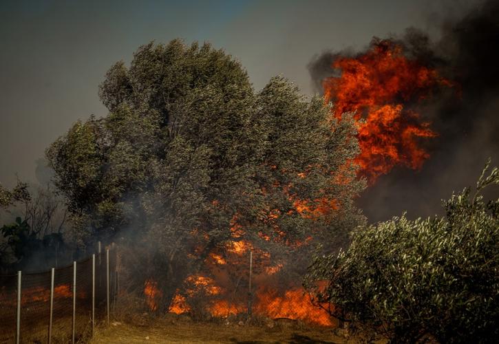 Ειδική πλατφόρμα για την προσωρινή διαμονή πληγέντων από την πυρκαγιά στην Κερατέα