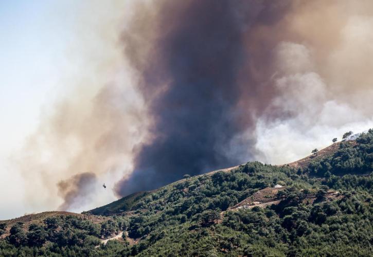 Πυρκαγιά στη Στεμνίτσα Αρκαδίας - Επιχειρούν εναέρια μέσα