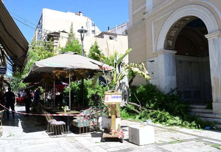 Δύο τραυματίες από πτώση δέντρων στο κέντρο της Αθήνας - Η ανακοίνωση του Δήμου