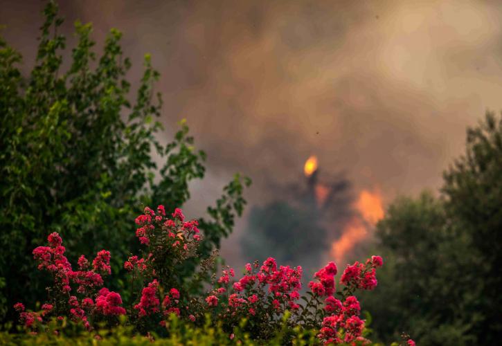 Πυρκαγιές 2025: Ο απολογισμός στην Ελλάδα και τον κόσμο – Οι αιτίες και η αποτελεσματικότητα των Αρχών