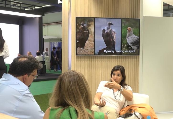 Κεδίκογλου (Eldorado Gold): Στην τελική ευθεία η επένδυση στις Σκουριές