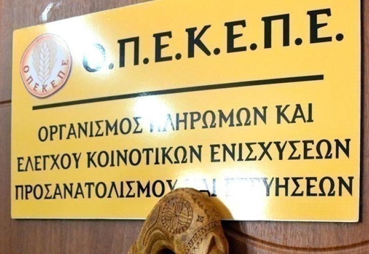 ΟΠΕΚΕΠΕ: Στη φυλακή ο θεωρούμενος ως υπαρχηγός της εγκληματικής οργάνωσης