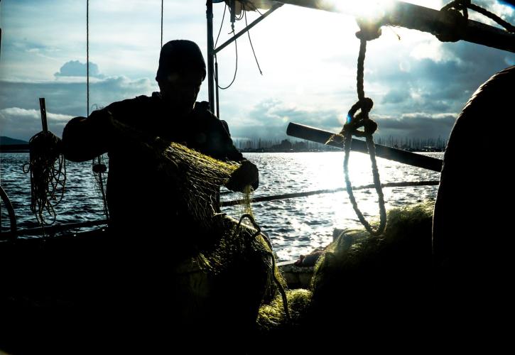 Ιχθυοκαλλιέργειες: Η μεγάλη ευκαιρία του 2025 και οι χρόνιες παθογένειες