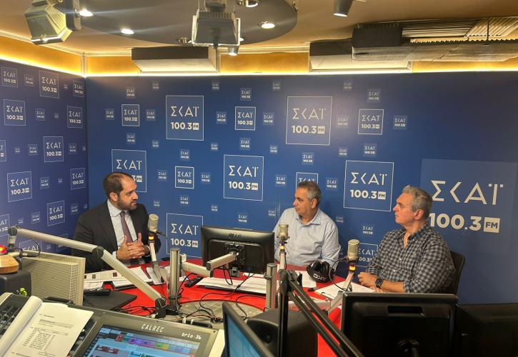 Κεφαλογιάννης: Η Ελλάδα έχει λιγότερες καμένες εκτάσεις σε σχέση με τον μ.ο. της 20ετίας στην Ευρώπη