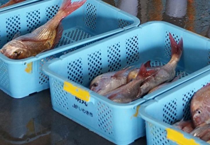 Διπλωματική ένταση με φόντο τα... θαλασσινά: Η Κίνα αναστέλλει ξανά τις εισαγωγές από την Ιαπωνία