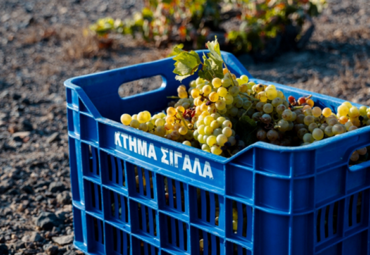 Η «Κυρ-Γιάννη» εξαγοράζει το Κτήμα Σιγάλα