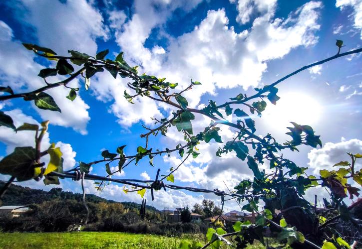 Νέο κύμα κακοκαιρίας με χιόνια στα ορεινά το Σαββατοκύριακο