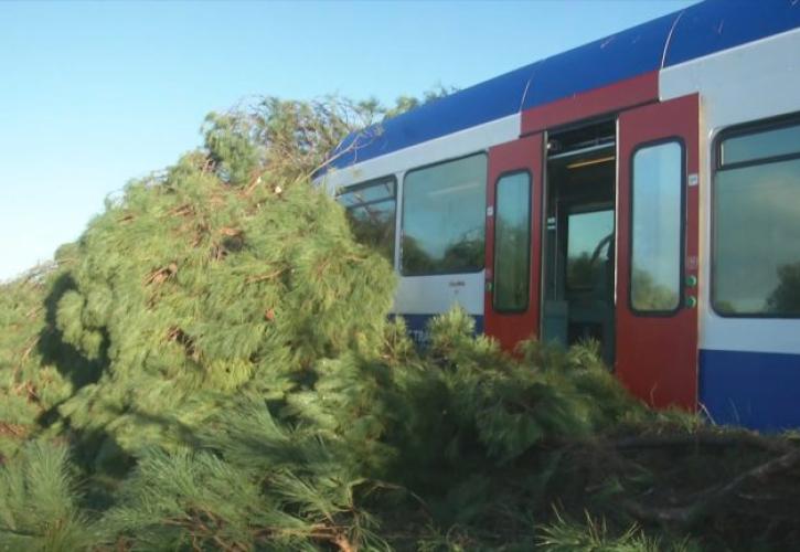 Πύργος Ηλείας: Δέντρο έπεσε σε τρένο προς Κατάκολο, τραυματίστηκε ο μηχανοδηγός