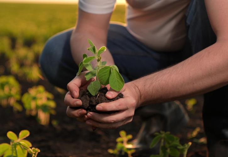 Το αγροτικό ρεύμα λειτουργεί και σαν δωρεάν μπαταρία ηλεκτρισμού - Το υπολόγισε κανείς αυτό;