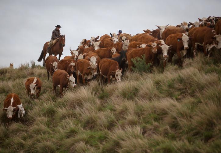 MERCOSUR: Γιατί δεν... έχουμε να φοβόμαστε τη συμφωνία