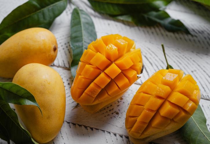 Γαλλία: Αναστέλλει τις εισαγωγές αγροτικών προϊόντων που καλλιεργούνται με χρήση 5 απαγορευμένων στην ΕΕ ουσιών