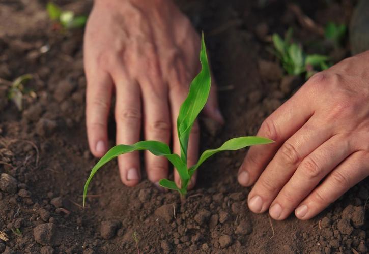 Η γνώση στο χωράφι: Το σχέδιο για μια νέα εποχή αγροτικής εκπαίδευσης στην Ελλάδα