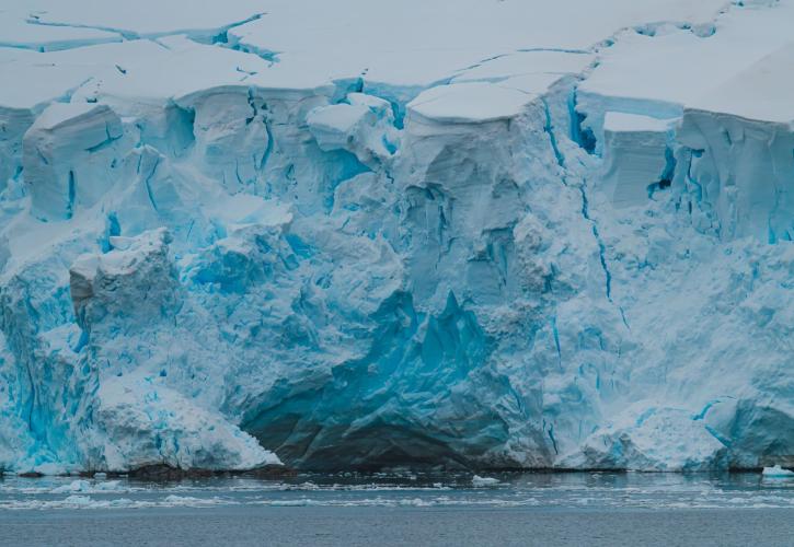 Στην Ανταρκτική η γρίπη των πτηνών - Αποδεκατίζει πληθυσμούς σπάνιων πληθυσμών, ακόμη και θηλαστικών