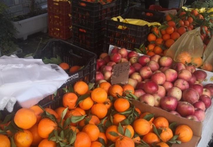 Πώς θα αποκτήσουμε ευεξία; Ποια είναι η σωστή διατροφή;