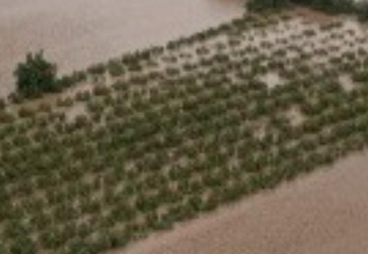 Λήμνος: Αίτημα για κήρυξη του νησιού σε κατάσταση Έκτακτης Ανάγκης - Χωρίς νερό η Μύρινα