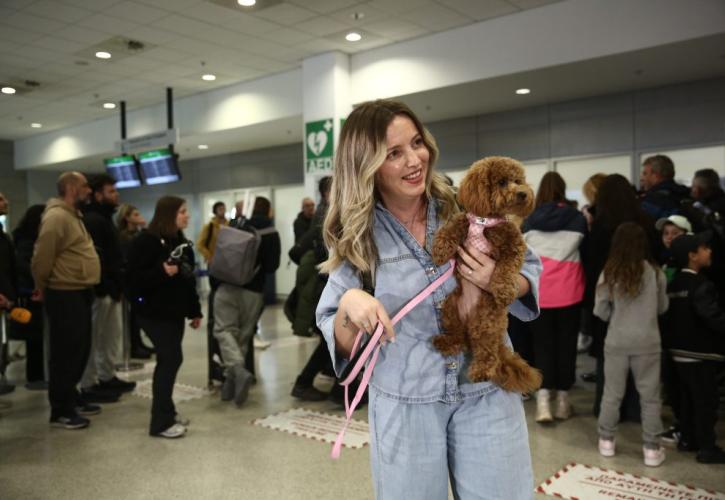 Επιχείρηση «Κιβωτός»: 101 Έλληνες επαναπατρίστηκαν από Μέση Ανατολή με τα 45 κατοικίδιά τους