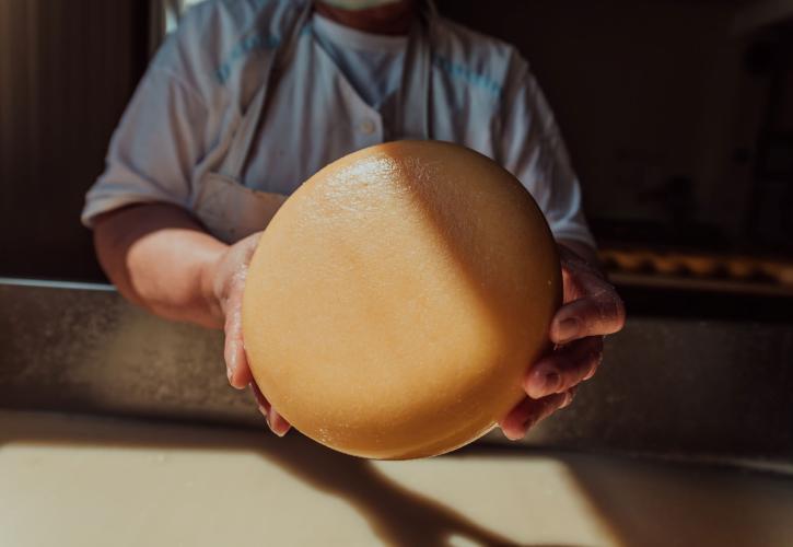 Αναστέλλουν τη λειτουργία τους οι τυροκομικές μονάδες της Λέσβου