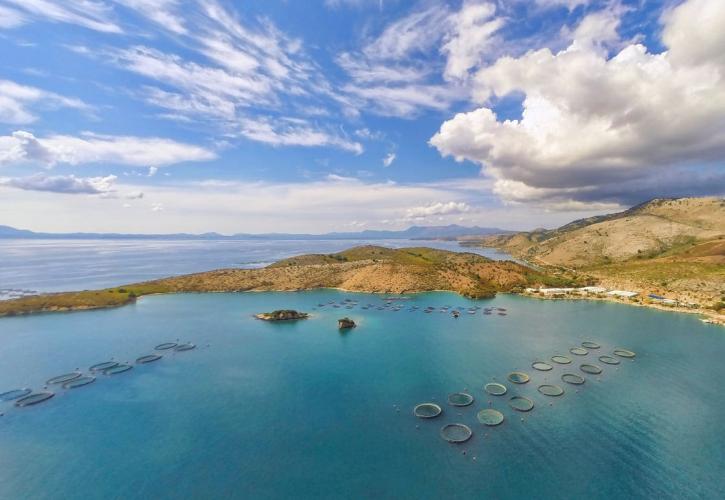 Προκαταρκτική συμφωνία Cooke - Avramar Ελλάδας