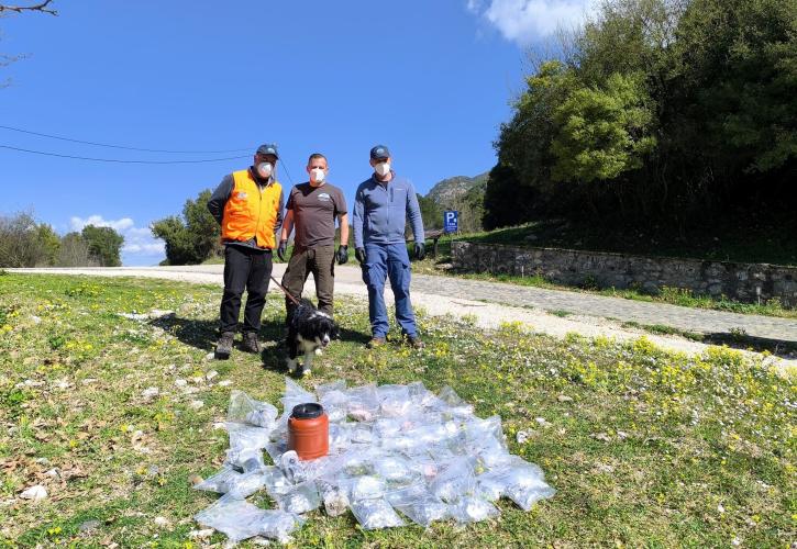 Ποιοι σκοτώνουν την πανίδα στον Γράμμο και την Δαδιά του Έβρου;