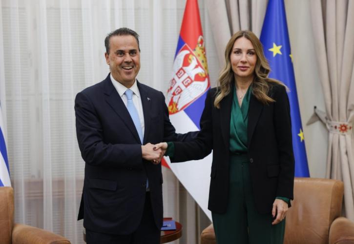 Παπασταύρου: Ελλάδα και Σερβία επιλέγουν ισχυρότερη διασυνδεσιμότητα