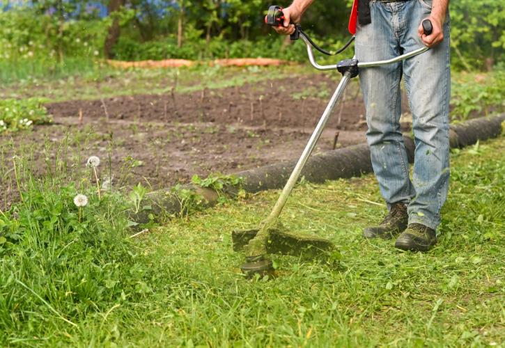 Ακαθάριστα οικόπεδα: Από 1η Απριλίου οι καθαρισμοί - Οι δηλώσεις, οι έλεγχοι και πρόστιμα