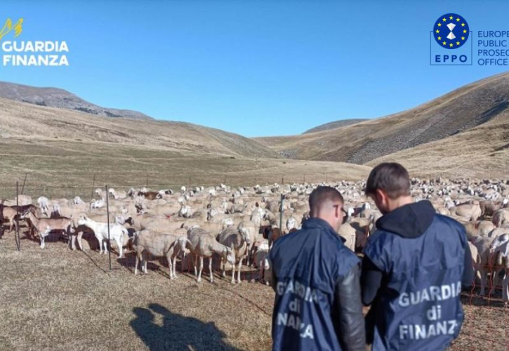 Τι γυρεύει η κα Κοβέσι στον Ευρωπαϊκό Νότο;