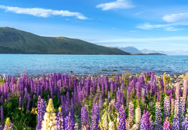Τα 10 πιο πολύχρωμα μέρη στον κόσμο που πρέπει να επισκεφτεί κάθε λάτρης των λουλουδιών