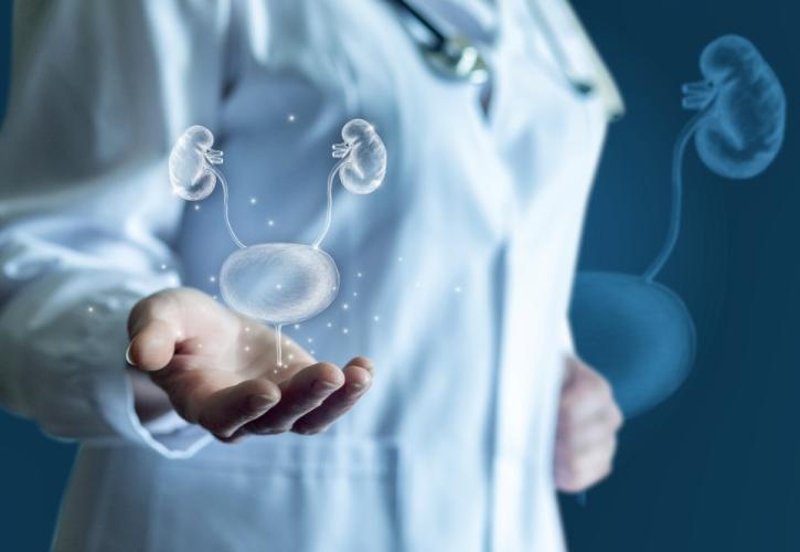 Η Ελλάδα πρωτοστατεί στην ενημέρωση για τις ουρολογικές παθήσεις στην Ευρώπη - Έρχονται δράσεις σε σχολεία, Δήμους