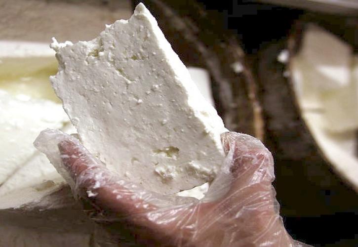 Μυτιλήνη: 6η ημέρα κινητοποιήσεων από κτηνοτρόφους - Τι ζητούν οι τυροκόμοι