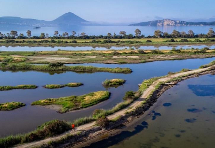 Messinia Challenge 2026