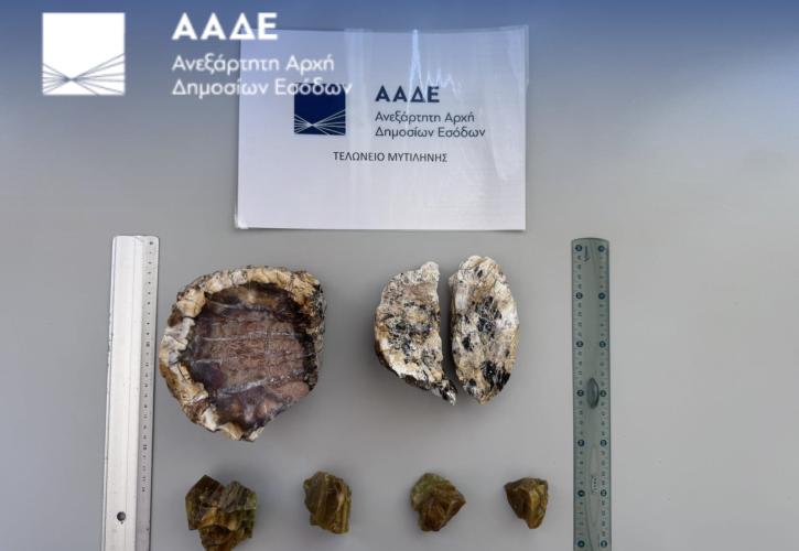 ΑΑΔΕ: Σύλληψη 2 Ολλανδών για κλοπή απολιθωμάτων από το δάσος της Λέσβου