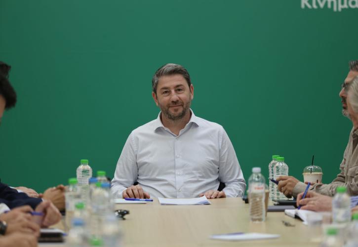 Ανδρουλάκης: Αν το ΠΑΣΟΚ λάβει την εντολή, η Ελλάδα θα έχει σταθερή και αξιόπιστη κυβέρνηση