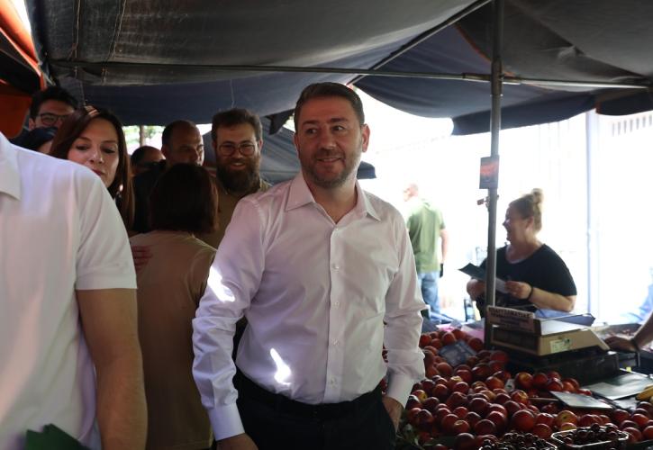 Ανδρουλάκης: «Τρίτη τετραετία Νέας Δημοκρατίας σημαίνει τρίτη τετραετία ακρίβειας»