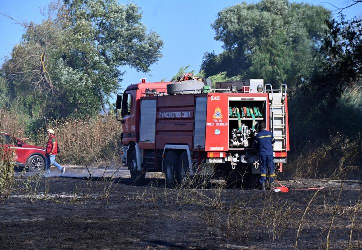 Φωτιά σε δασική έκταση στη Βοιωτία - Επιχειρούν εναέρια μέσα