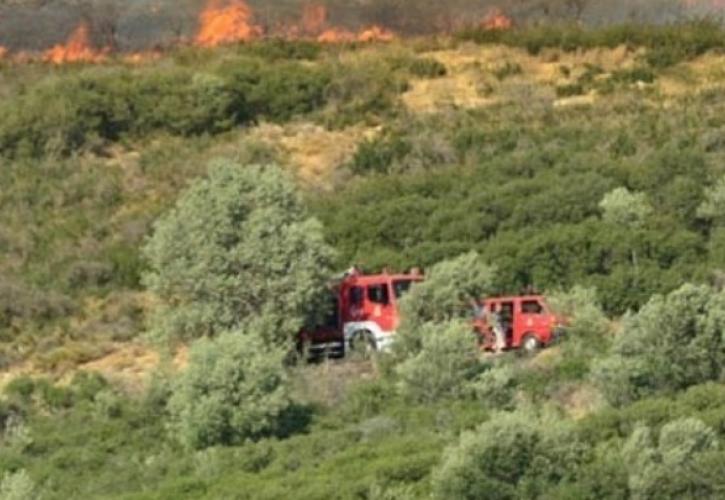 Ναύπακτος: Φωτιά στην Κάτω Μαμουλάδα