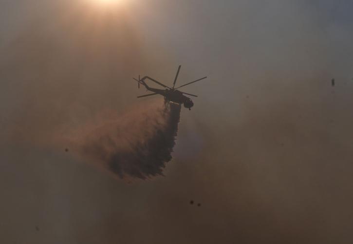 Μάχη με τις φλόγες σε 73 μέτωπα - Πύρινος όλεθρος στη Βοιωτία