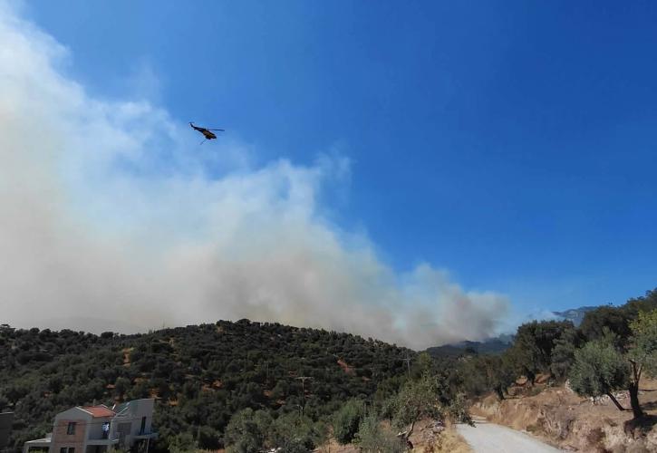 Μεγάλη πυρκαγιά στο Πλωμάρι Λέσβου - Ήχησε το 112