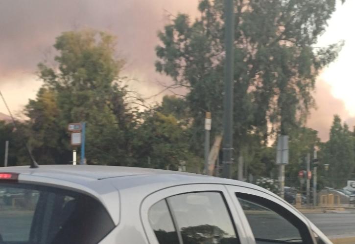 Πυρκαγιά στο παλιό κτήριο του Μπάντμιντον στο Πάρκο Γουδή