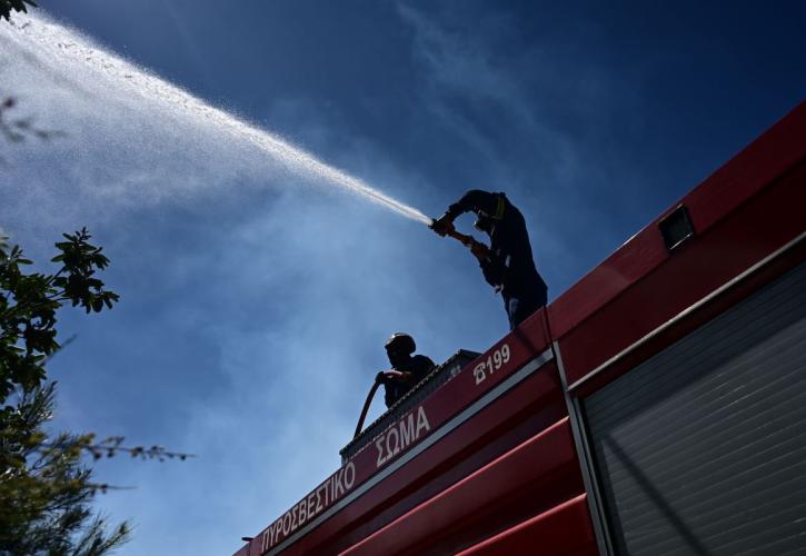 Μαίνεται η φωτιά στη Βοιωτία, προληπτική εκκένωση οικισμών - Δύσκολη νύχτα για την πυροσβεστική
