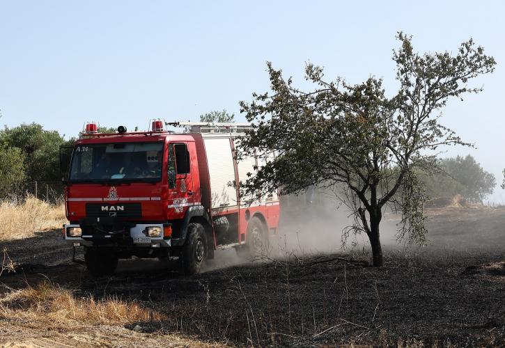 Θεσσαλονίκη: Οριοθετήθηκαν δύο πυρκαγιές σε Πυλαία και Μονόλοφο Ωραιόκαστρου