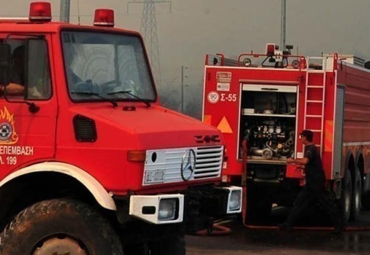 Βελτιωμένη η εικόνα της πυρκαγιάς στην Οινόη - Αντιμετωπίζουν αρκετές ενεργές εστίες