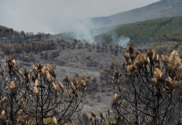 Ισπανία: Στάχτη 290.000 στρέμματα από την «πιο πολύπλοκη» πυρκαγιά στην σύγχρονη ιστορία της χώρας