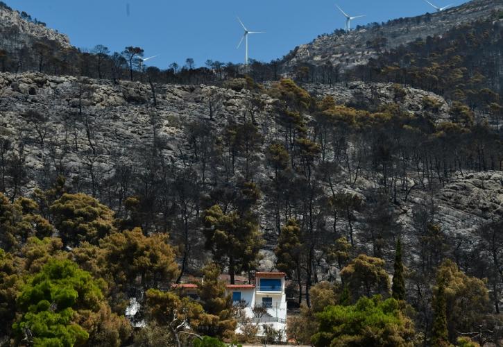 Πυρόπληκτοι: Τα σημεία - κλειδιά για να μη χαθούν οι ενισχύσεις