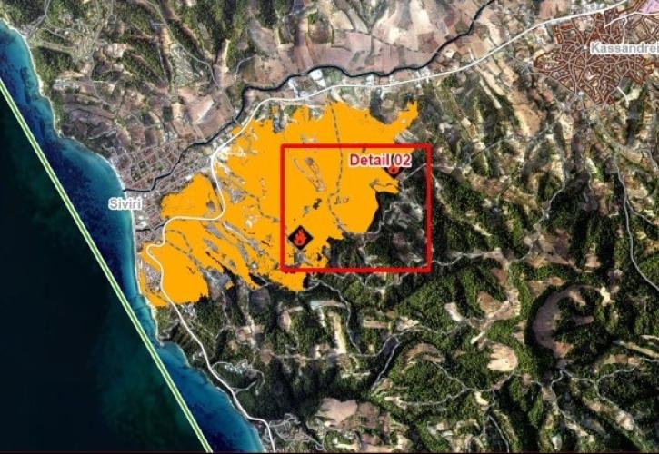 Copernicus: Στα 2.480 στρέμματα η περίμετρος της καμένης εκτασης από την πυρκαγιά στη Σίβηρη Χαλκιδικής