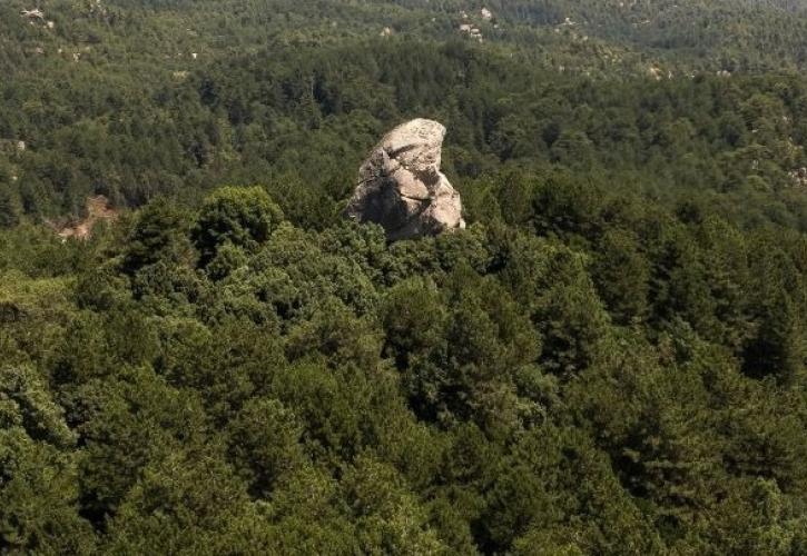 Απαγόρευση κυκλοφορίας την Δευτέρα σε δασικές περιοχές σε τρεις δήμους της Χαλκιδικής