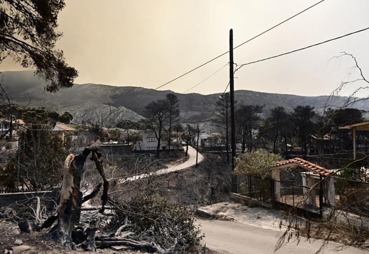 Το βάρος στις αποζημιώσεις - Η πόρτα της Δόμνας στον Μακάριο - Τα... depon στο κόμμα Καρυστιανού