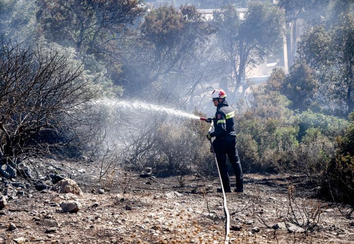 Ρέθυμνο: Ξεκινούν οι αιτήσεις για αποζημιώσεις πυρόπληκτων επιχειρήσεων - Έως 1/10