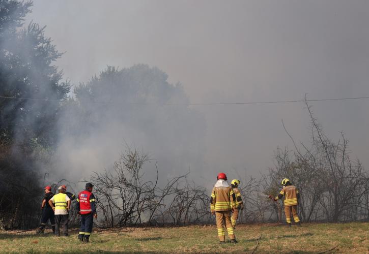 Καλύτερη εικόνα της φωτιάς στη Χαλκιδική - Μάχη με διάσπαρτες εστίες
